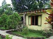 Accomodation at Panchavati Forest Resort